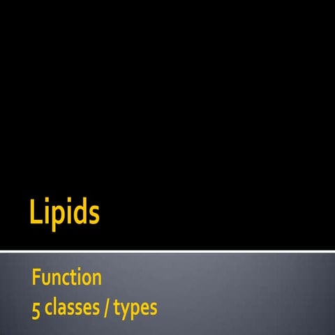 Macro mols   lipids lesson