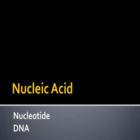 Macro mols   nucleic acids