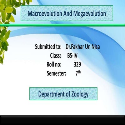 Macro n megaevolution