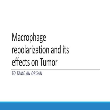Macrophage polarization by HRG and its effects on Tumor