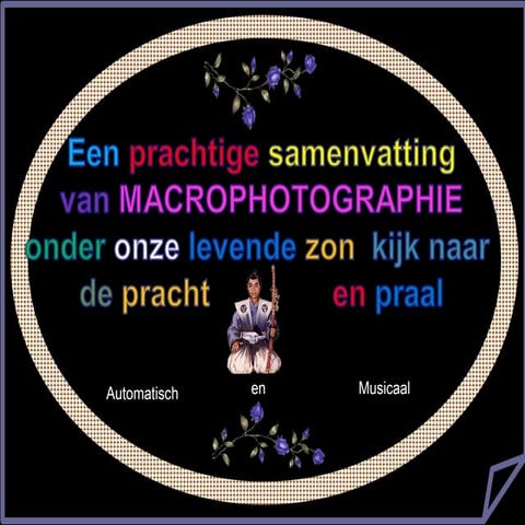 Macrophotographie
