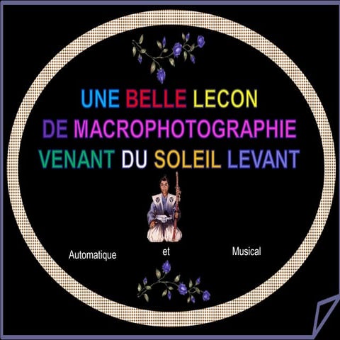 Macrophotographie geo !!!!!!!!!!!!!!!!