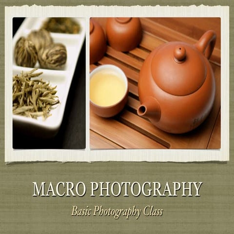 Session 12 Macro photography