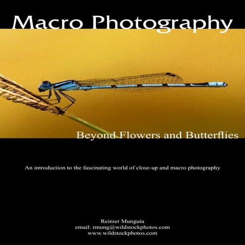 Macro photography pdf | PDF