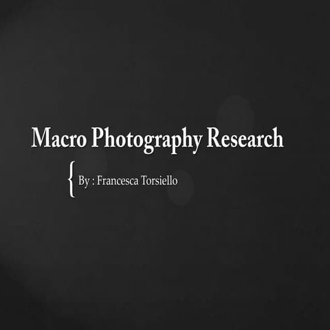 Macro Photography Research