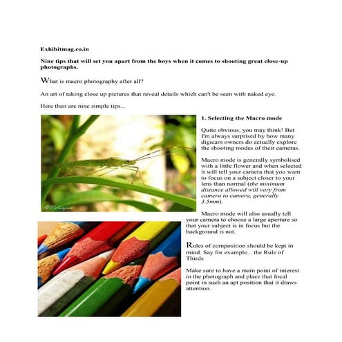 Macro photography pdf | PDF