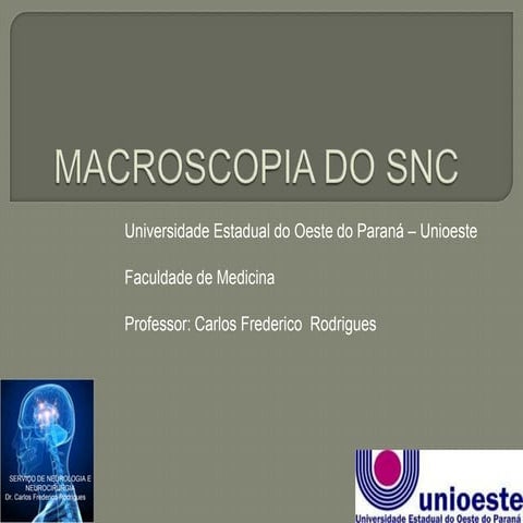 Macroscopia do snc