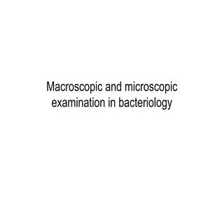 Macroscopic and microscopic examina...