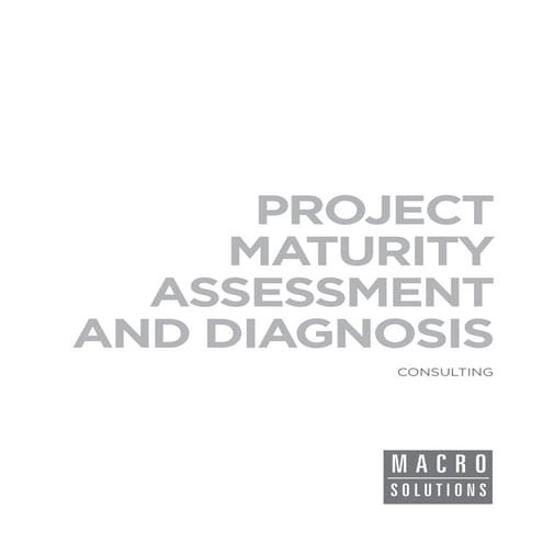 Macrosolutions Consulting Service: Project Maturity Assessment and Diagnosis