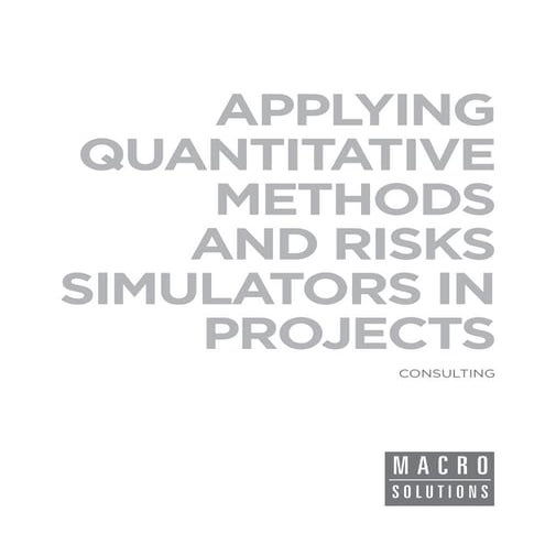 Macrosolutions Consulting Service: Applying Quantitative Methods and Risks Si...