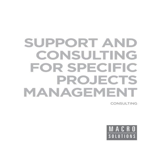 Macrosolutions Consulting Service: Support and Consulting for Specific Projec...
