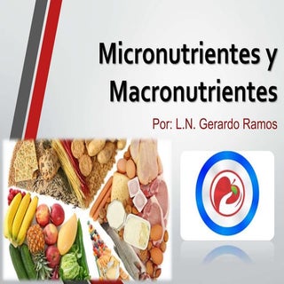 Macro y micronutrientes clasificaci...