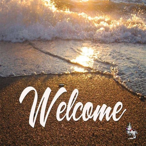 conservation of energy  done by madagascar group