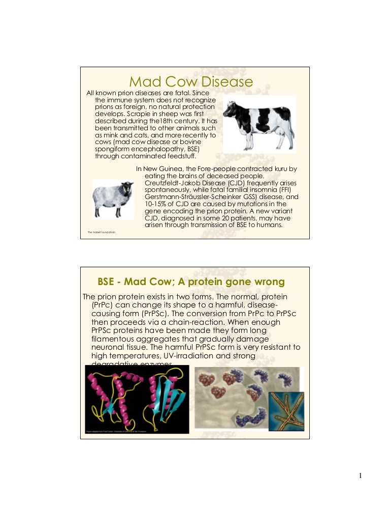 Mad Cow Disease and Variant CreutzfeldtJakob Disease
