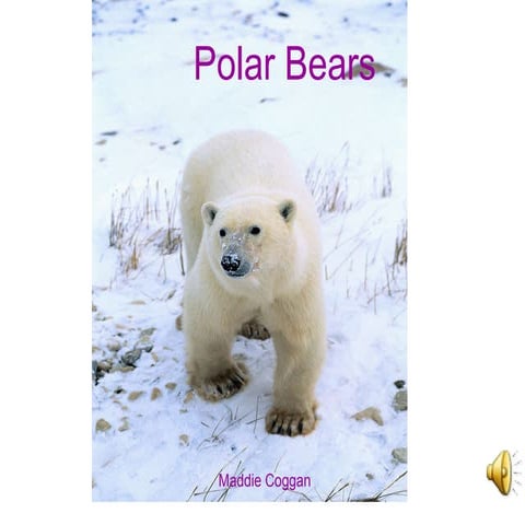 Maddie and the polar bear