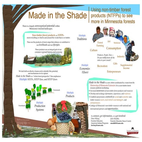 Made in the Shade, Poster