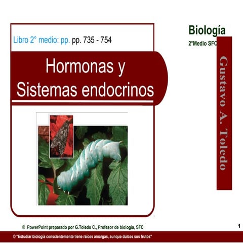 Hormonas y sistemas endocrinos