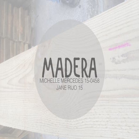 MADESOL | MADERAS 