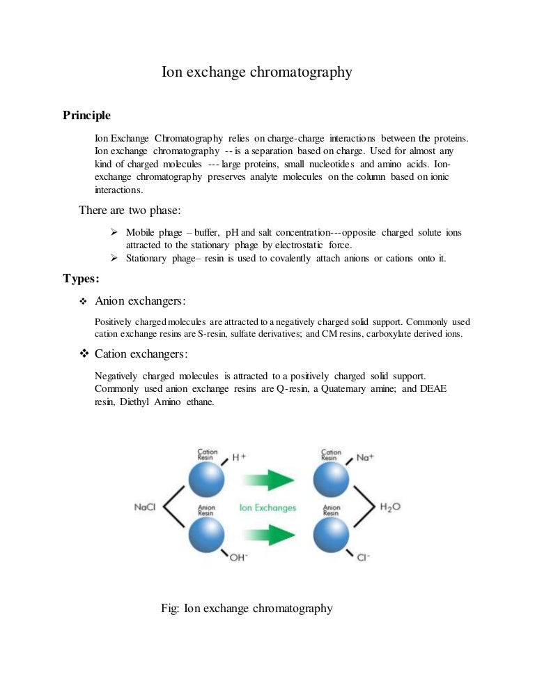 an assignment on ion exchange chromatography cation exchange chromatography