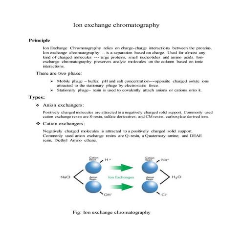 an assignment on ion exchange chromatography