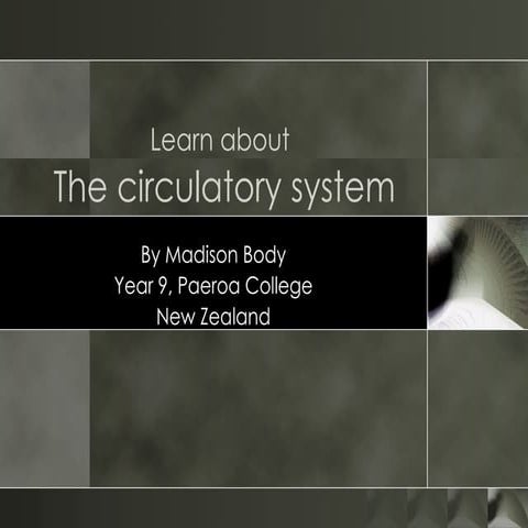 The circulatory system