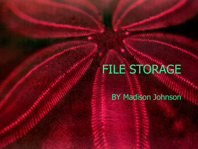 File Storage