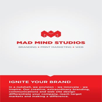 Mad Mind Studios Media Kit