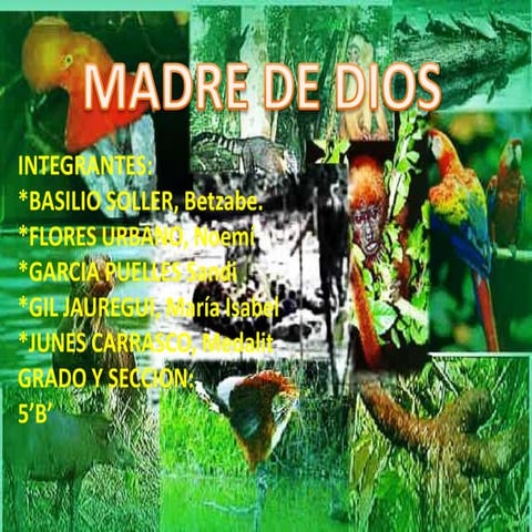 Madre de dios departamento *.*