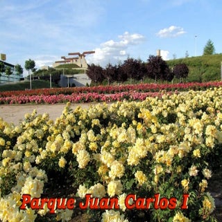 Madrid - Parque Juan Carlos I