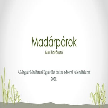 Madárpárok