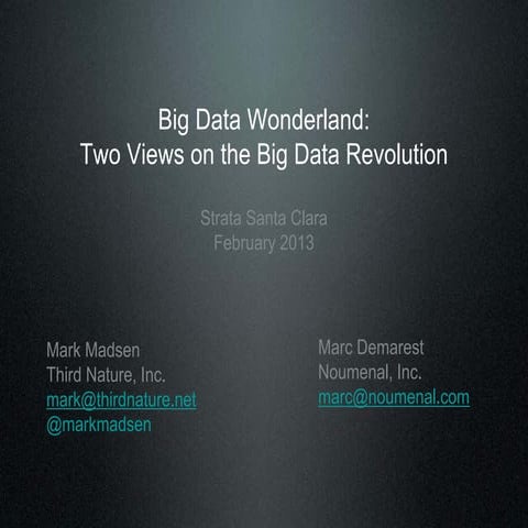 Big Data Wonderland: Two Views on the Big Data Revolution