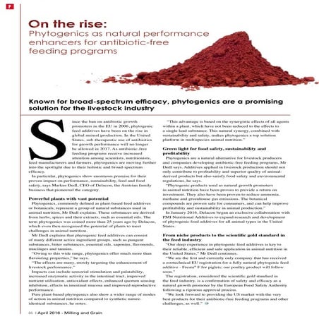 Phytogenics as natural performance enhancers for antibiotic-free feeding prog...