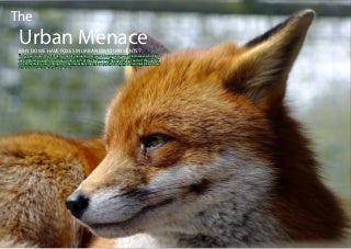 7 Tricks About Dog Aggressive Over Bone You Wish You Knew Before