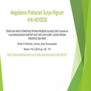 Magdalena praharani surya nigrum