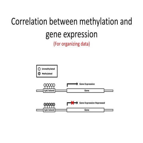 Mage genes  independent biomarker for prognosis 14-02-2012