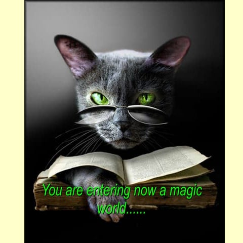 Magic cat