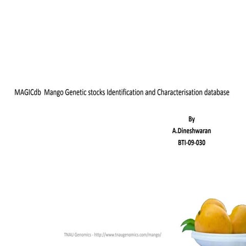 MAGICDB : Mango Genetic stocks Identification and Characterisation Data ...