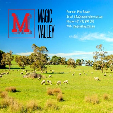 Magic Valley Marketing Deck 