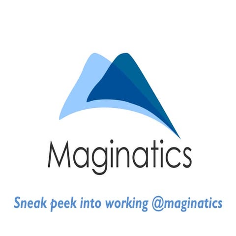 Working at Maginatics