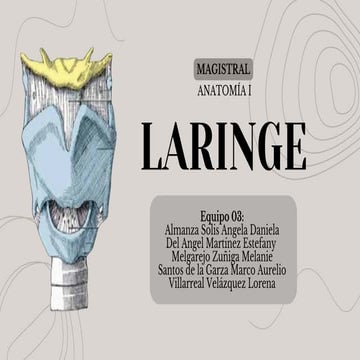 EXPOSICIÓN MAGISTRAL LARINGE_EQUIPO 03.pdf.pdf