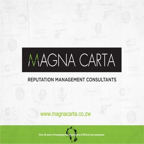 Magna Carta Reputation Management Zimbabwe Profile