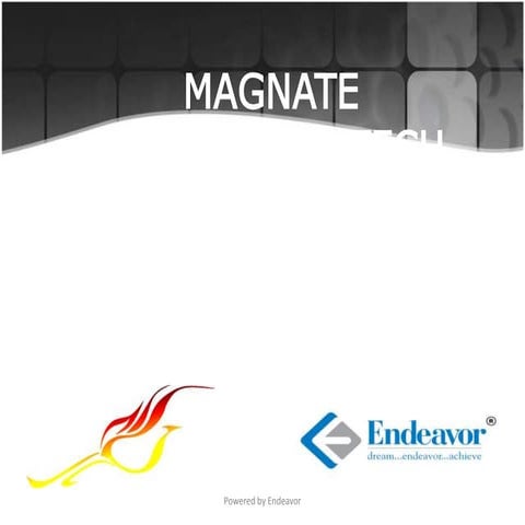 Magnate prelims answers