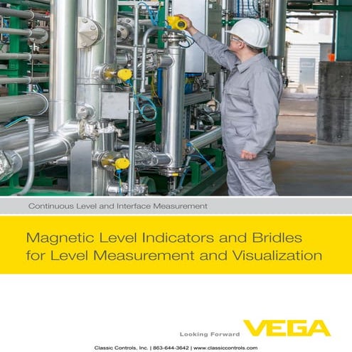 Magnetic Level Indicators (MLIs) and Bridle Combination Units