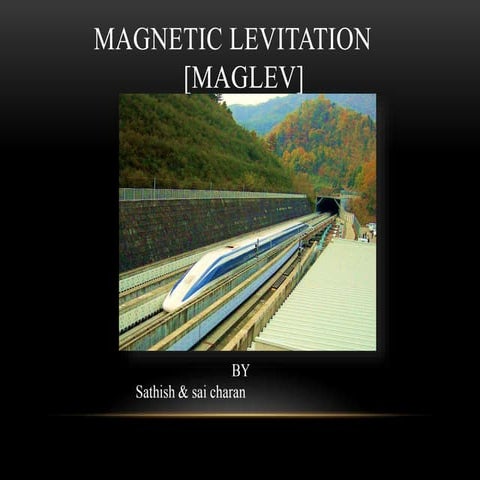 Magnetic lev