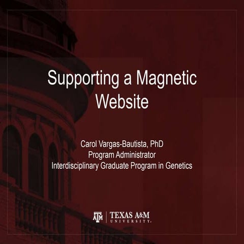 Supporting a Magnetic Website