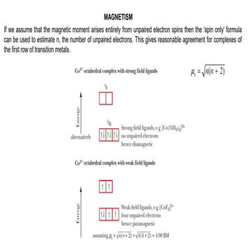 MAGNETISM chapter notes for higher studies | PDF