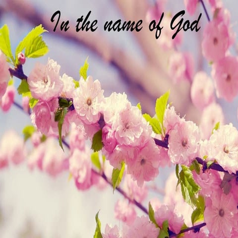 Magnetofection emadi