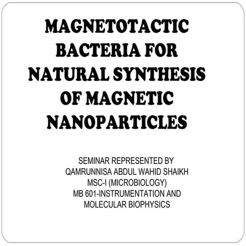 Magnetotactic bacteria.