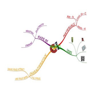 Psle science 2011 | PDF