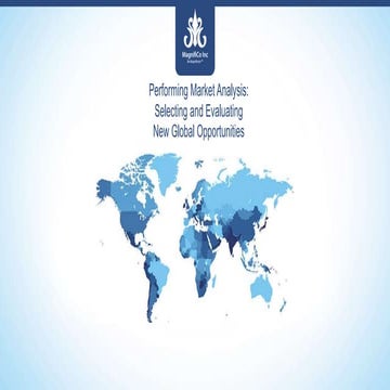 MagnifiCo Market Analysis: Global Markets